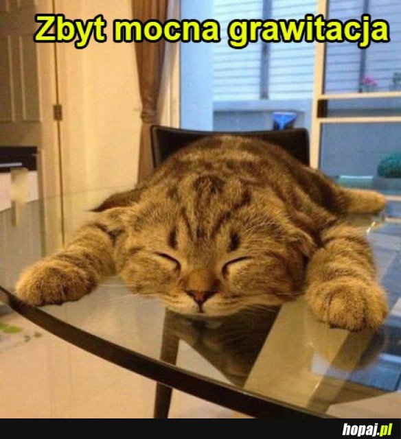 Pora poleżeć...