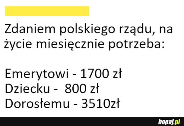 Ile minimalnie potrzebujemy pieniędzy, żeby przeżyć - według rządu
