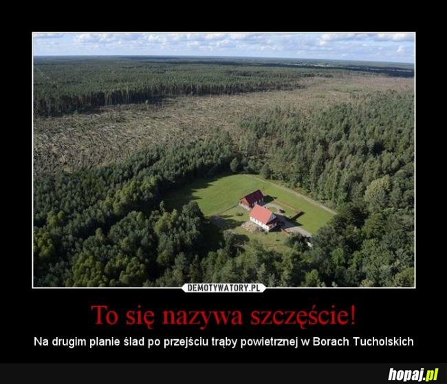 to się nazywa szczęście