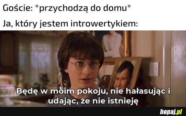 Goście w domu