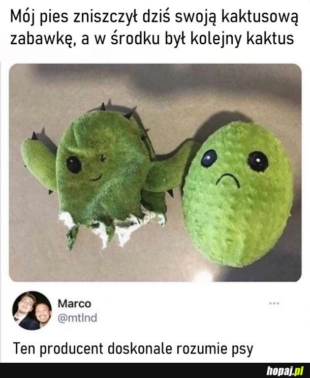 Kaktusowa matrioszka