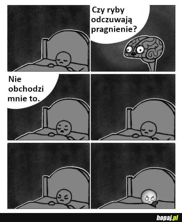 Nie interesuje mnie to wcale