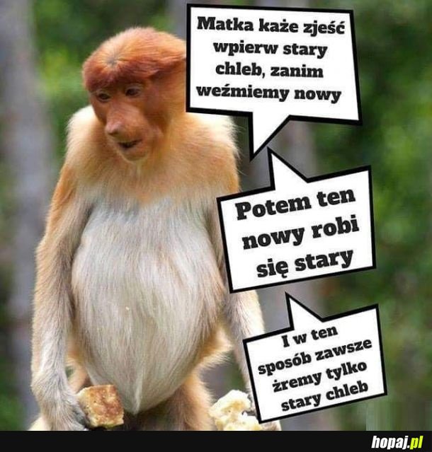 Żarcie chleba