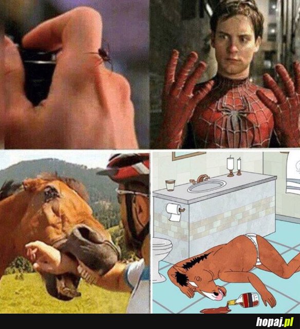Człowiek koń