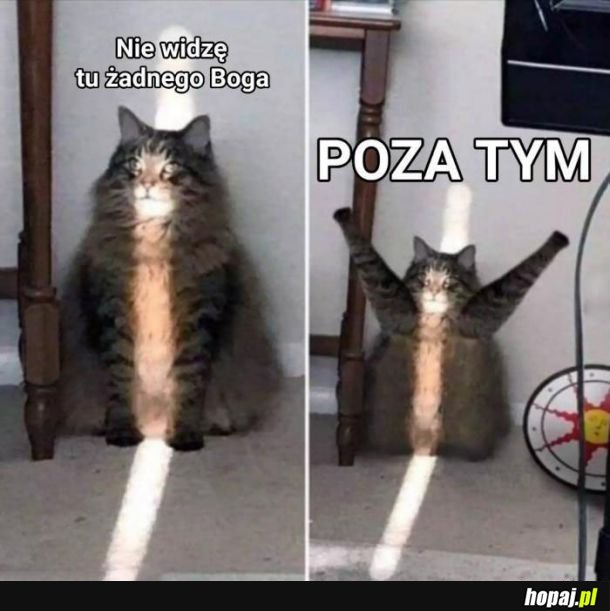 Boge 