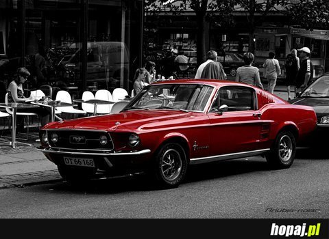 Mustang!