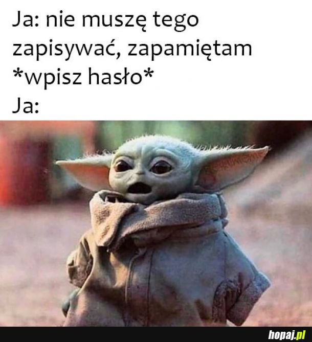 Zapamiętam