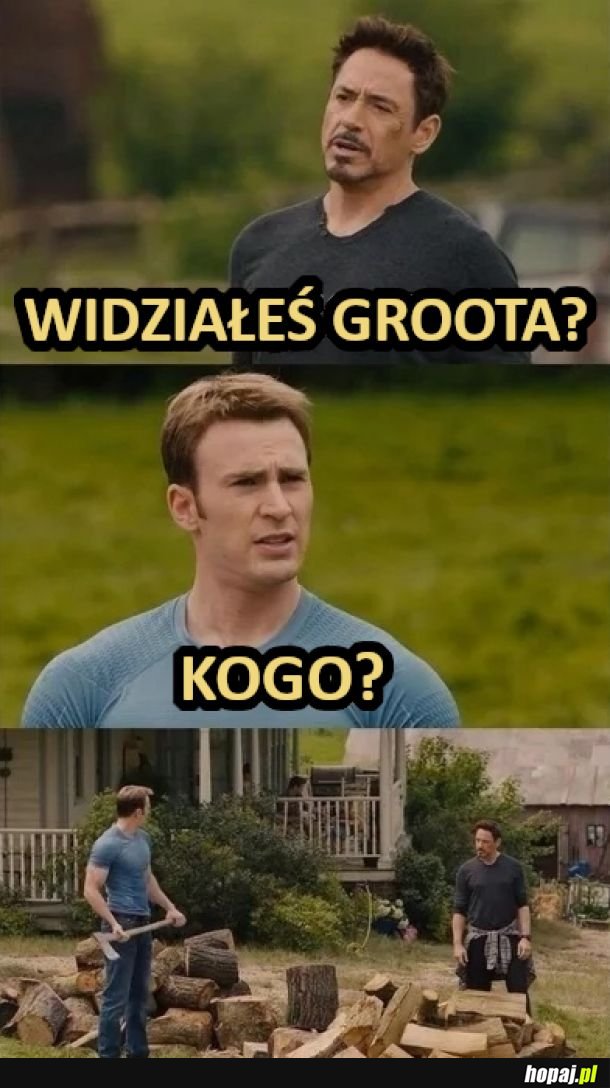 Widziałeś Groota?