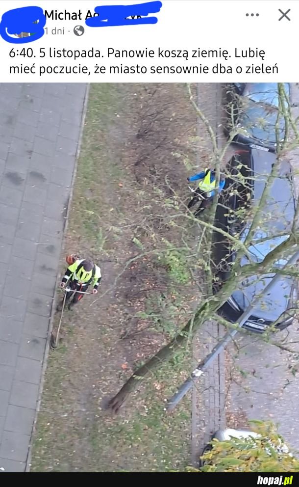 Ten zapach świeżo skoszonej... ziemi. 