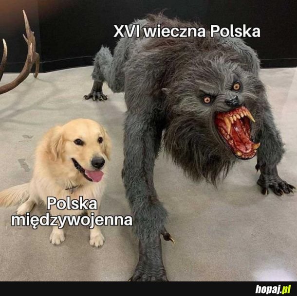 Teraz nie ma czasów 