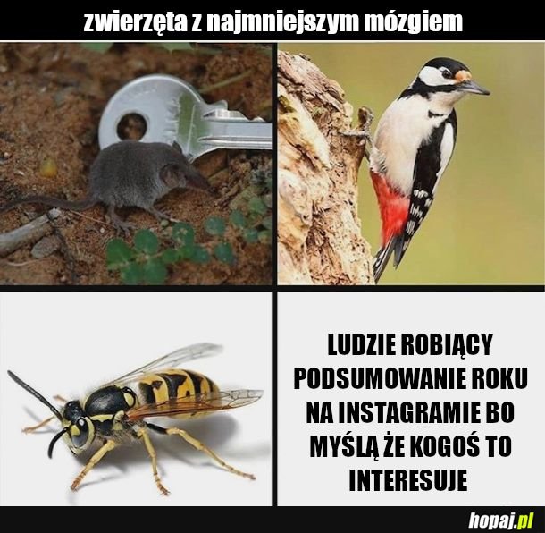 Rozmiar to rzecz względna