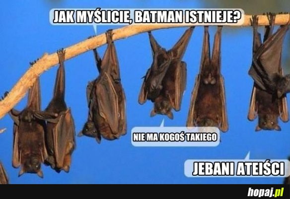 Nietoperze