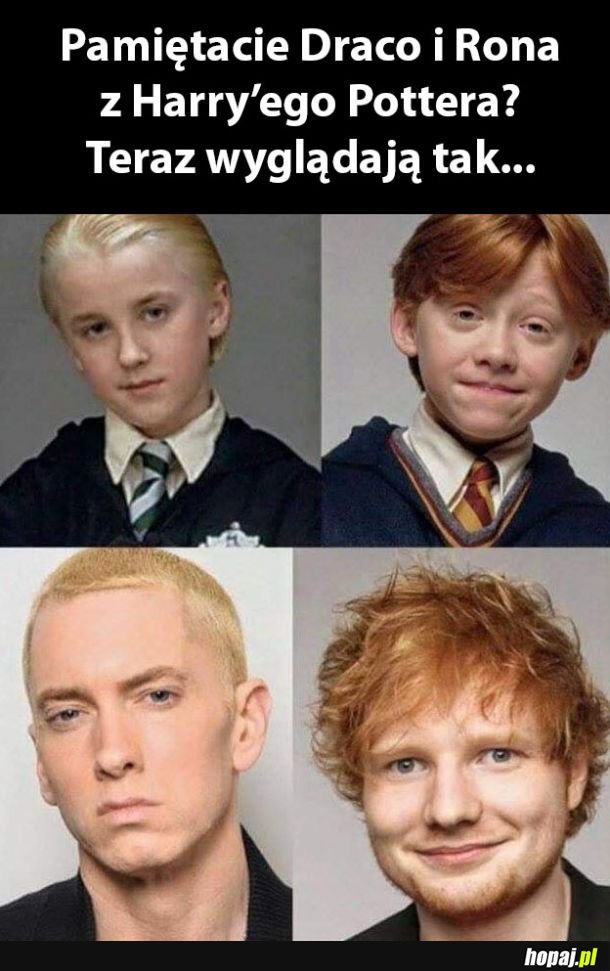 Harry Potter