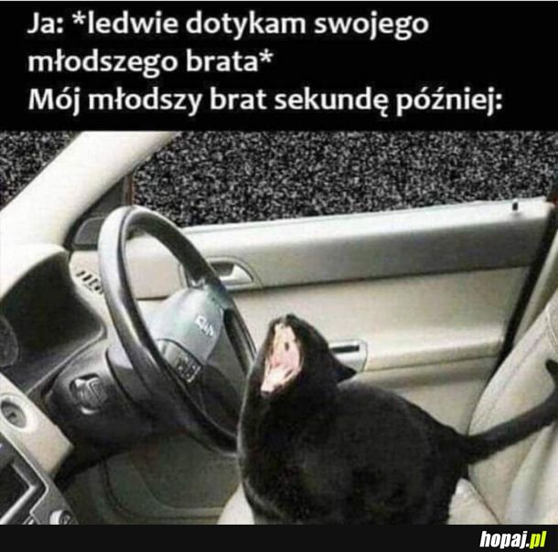 Tak twierdzi mój Brateł