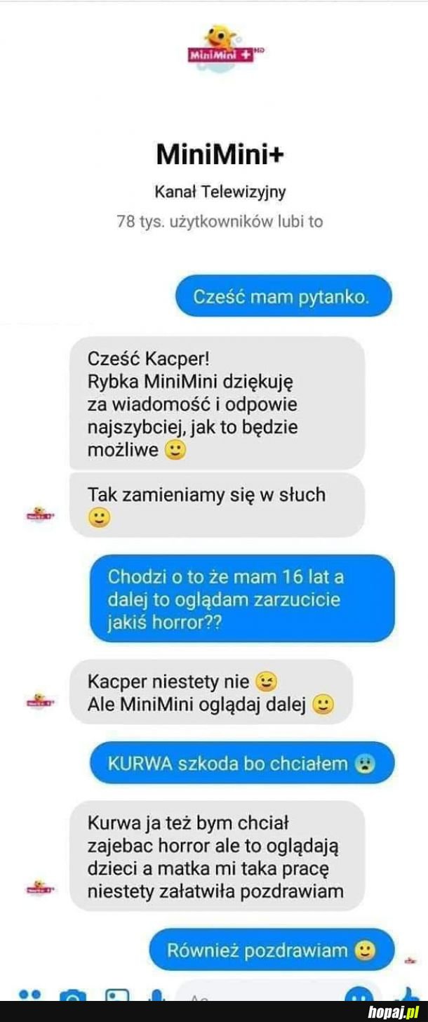 MiniMini