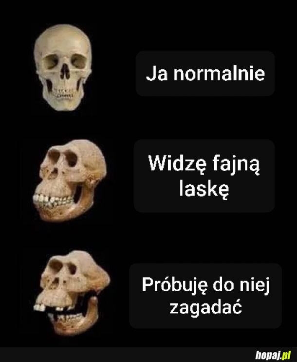 Podrywacz Pe-eL