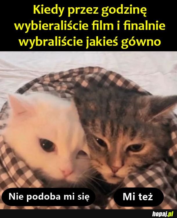 Nie podoba się