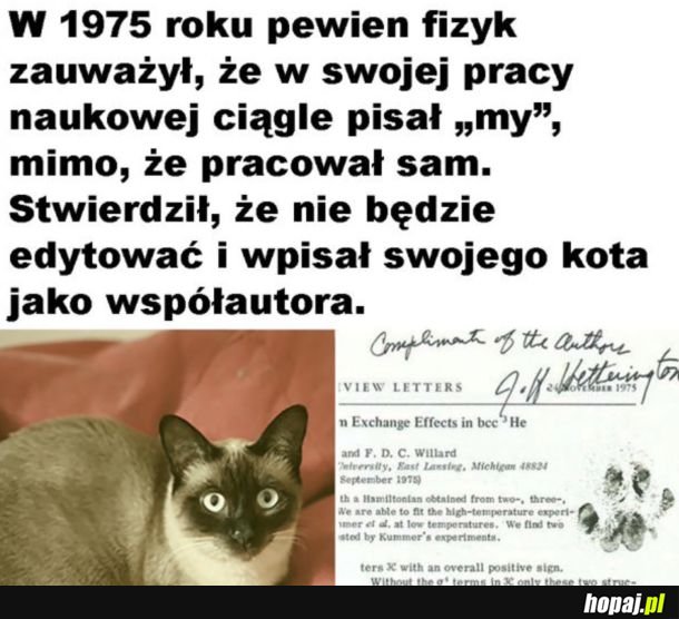 Kot się nawet łapą podpisał