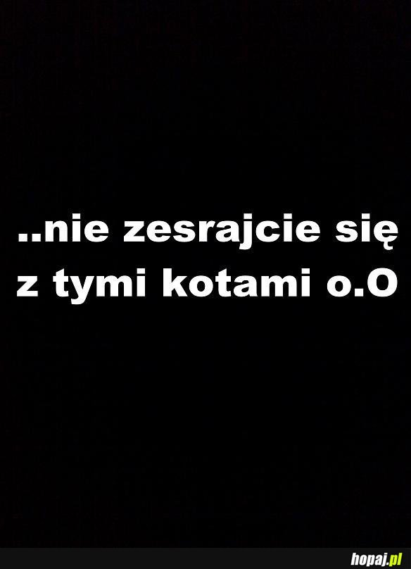 Koty ; /