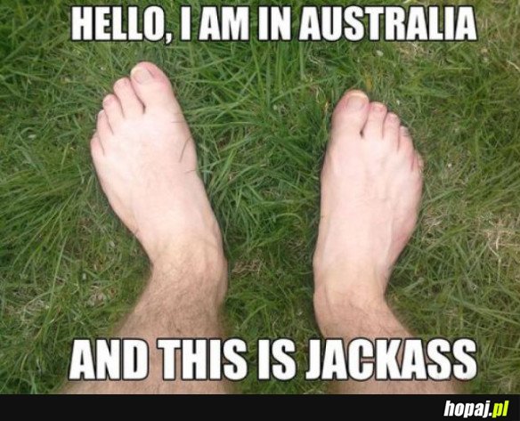 TYMCZASEM W AUSTRALII