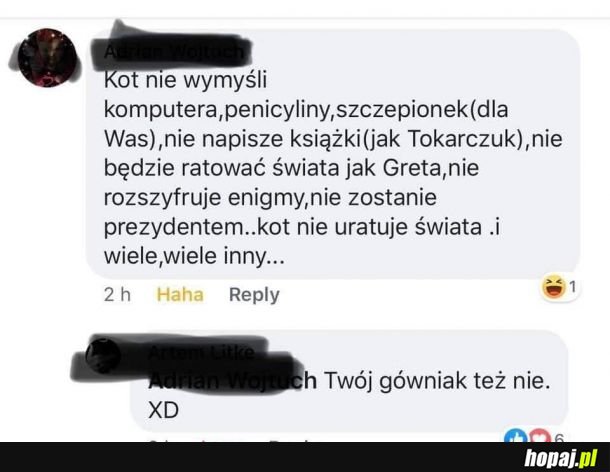 Kot vs dziecko