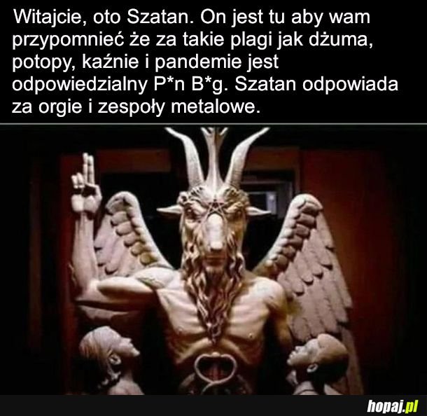 Nic nie sugeruję