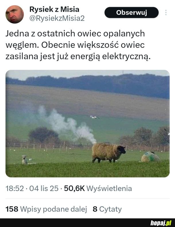 Zielony ład zbiera swoje żniwo