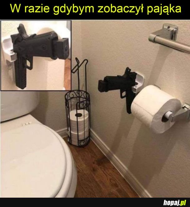 Pająki to zło