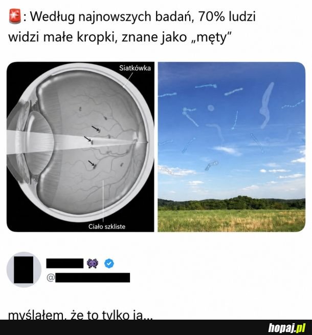 Męty