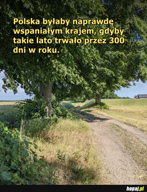 Przyzwyczaiłbym się