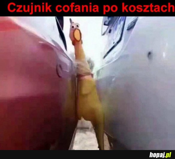 Czujnik cofania