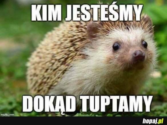 KIM JESTEŚMY