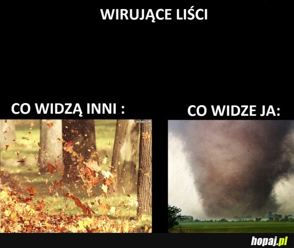 Liście