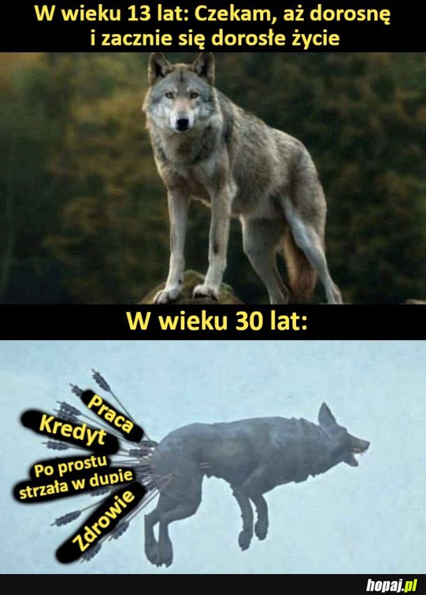 Także tak