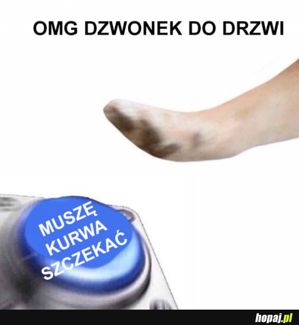 PSY TAKIE SĄ