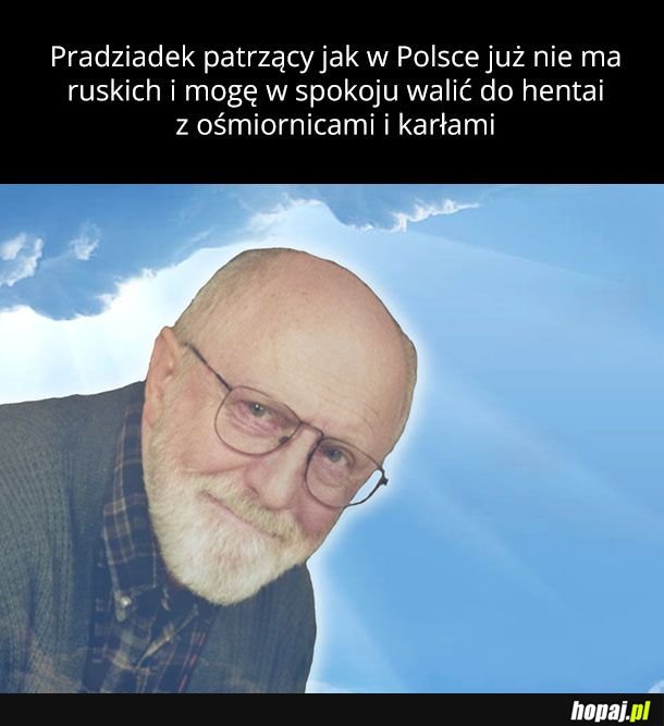 No cześć
