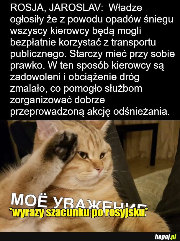 Najlepszy pomysł, nasi mogliby się uczyć