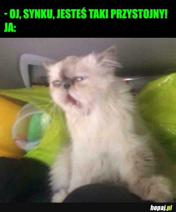 KOMPLEMENT