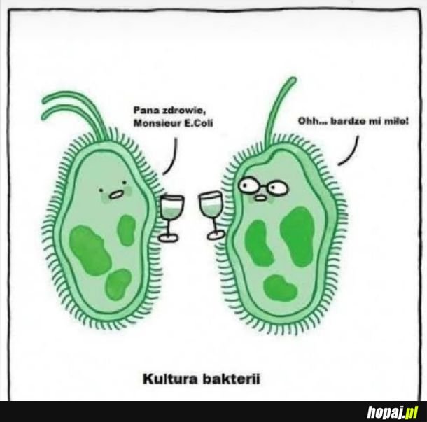 Kultura