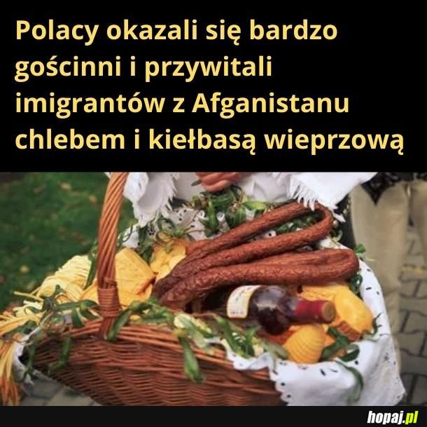 Oczywiście żarcik. Nie daliśmy im nic do jedzenia