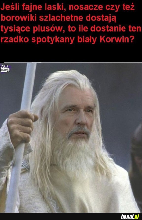 BIAŁY KRUL