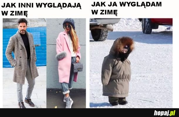 Zima