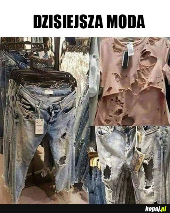 Moda