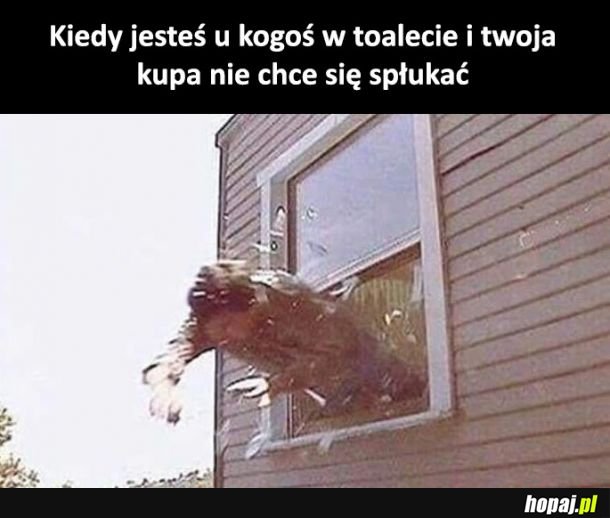 Uciekam stąd