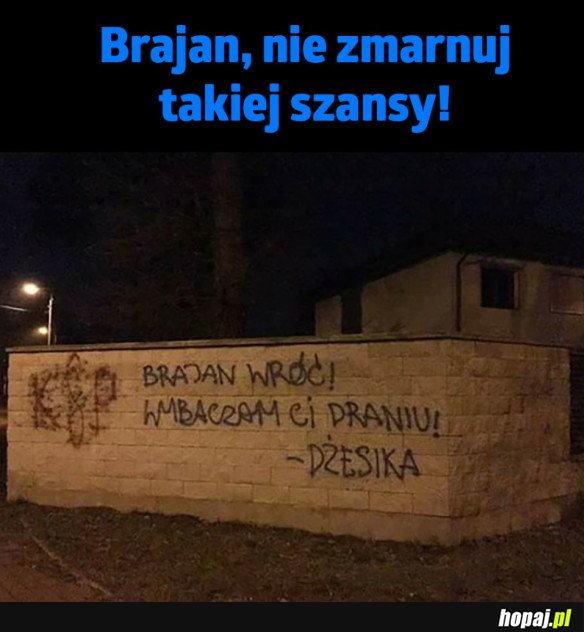 DOSTAŁ SZANSĘ!