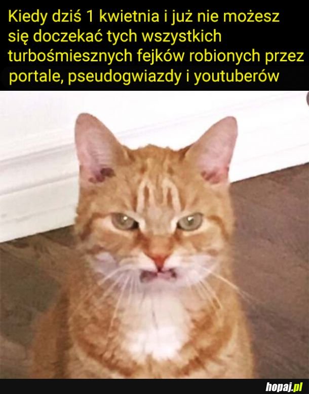 Ile fałszywych ciąż dzisiaj naliczymy?