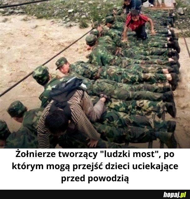 Poświęcenie!