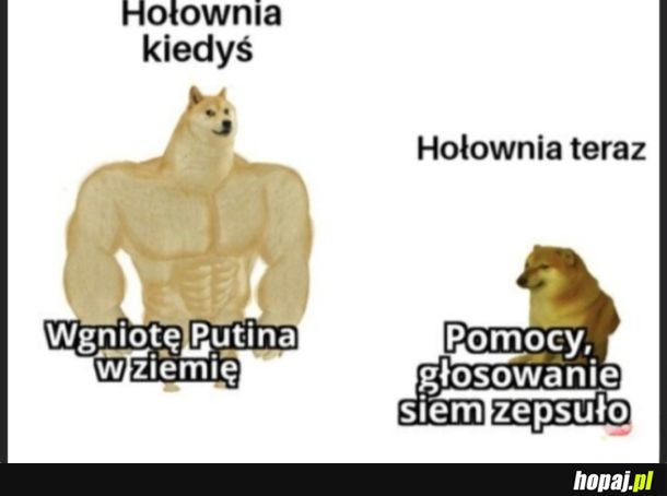 Holownia to taka typowa c***a.