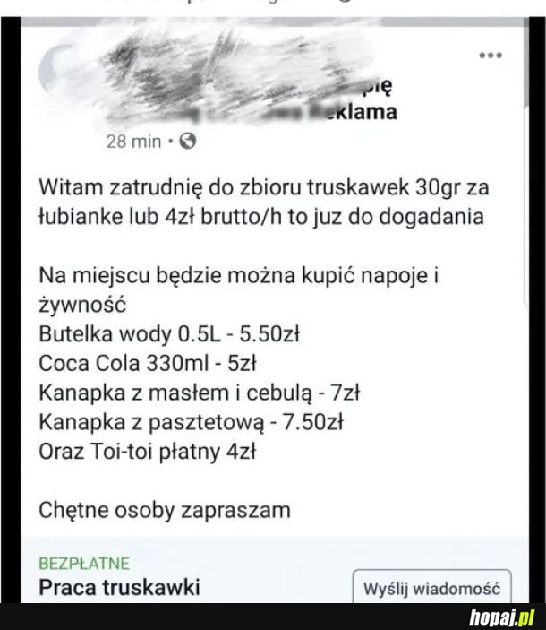 Kto na truskawki?