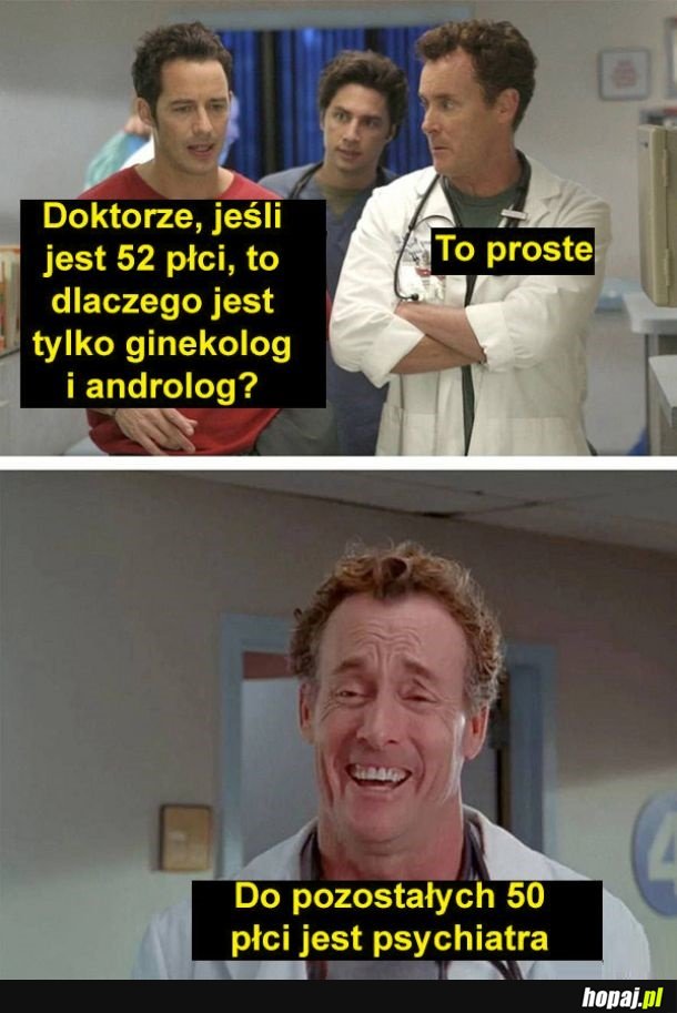 Płcie